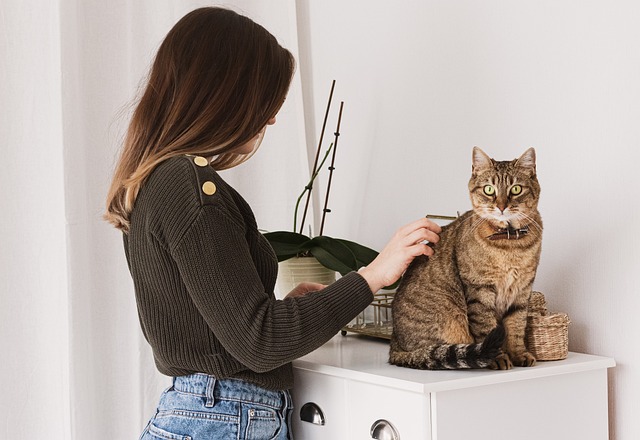 Do you need pet insurance in California
