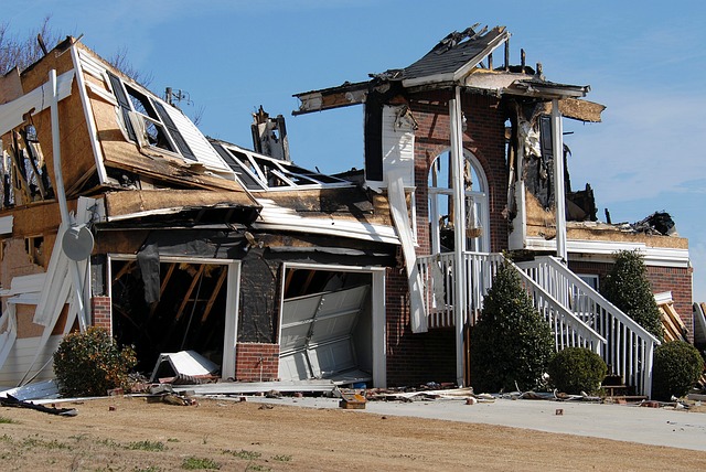 Does Home Insurance Cover Mold